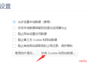 查看网站登录 Cookie 信息