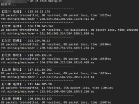 测试服务器回程ping的小脚本 mPing