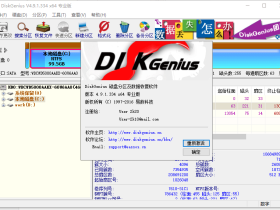DiskGenius v4.9.1.334专业版单文件