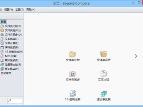 Beyond Compare v4.1.9绿色专业版