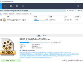 下载工具 Free Download Manager 单文件版