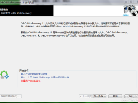 专业数据恢复软件O&O DiskRecovery 11(技术员版)绿色汉化版