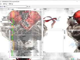 近乎完美的街机模拟器 MAME 0.224